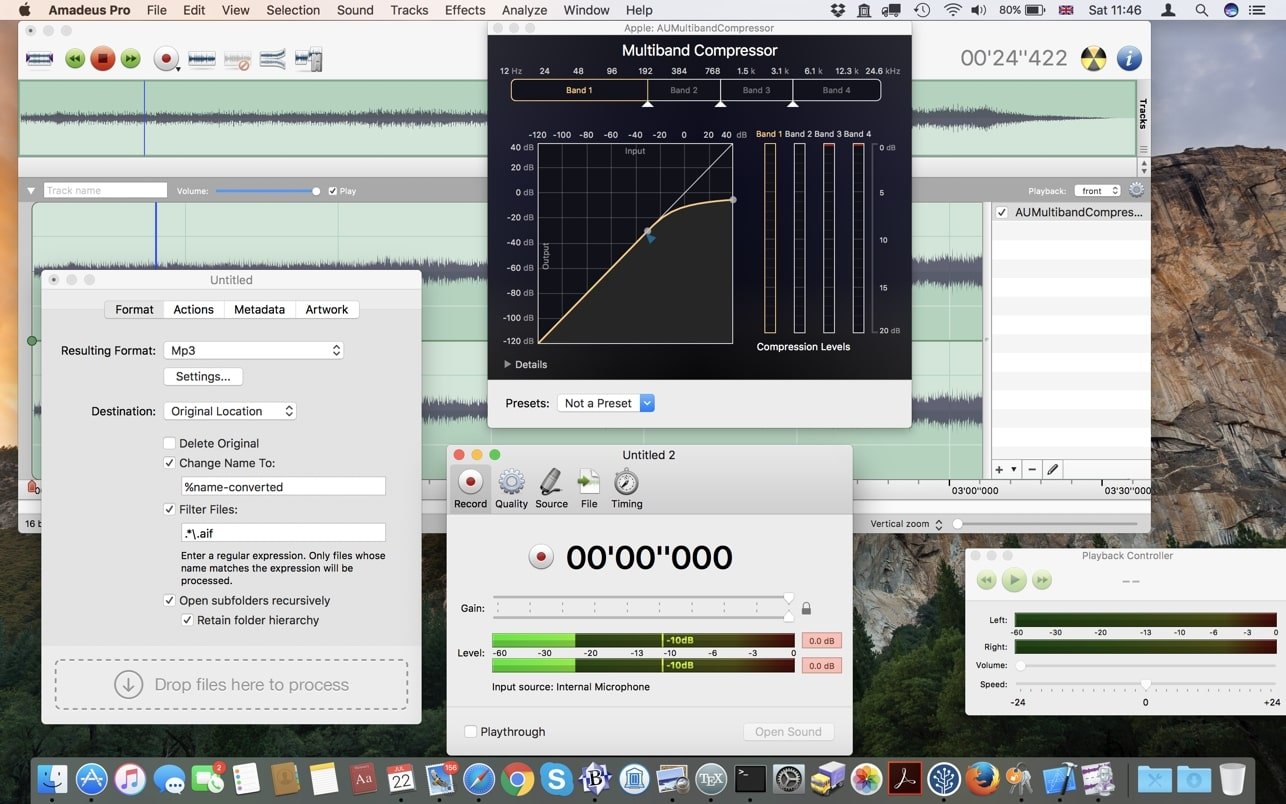 Amadeus Pro screenshot 2